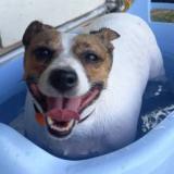 Дядищев Владимир 